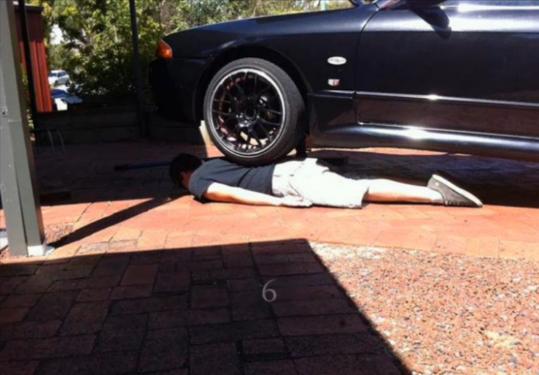 Die besten Planker